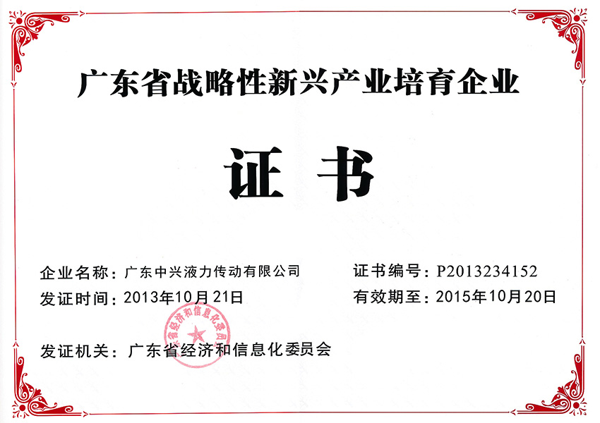 2013年廣東省戰(zhàn)略性新興產(chǎn)業(yè)培育企業(yè)證書(shū)